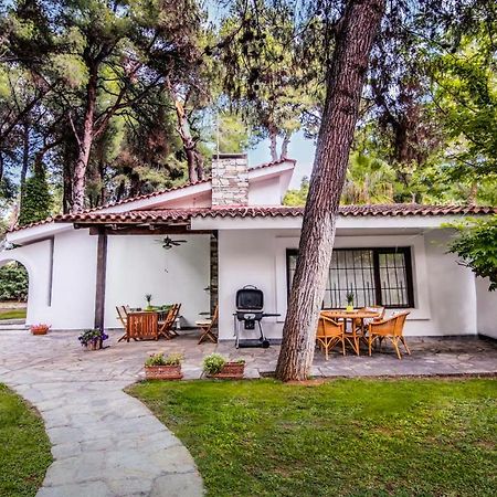 Beautiful Holiday Villa In Sani Sani  Exteriör bild