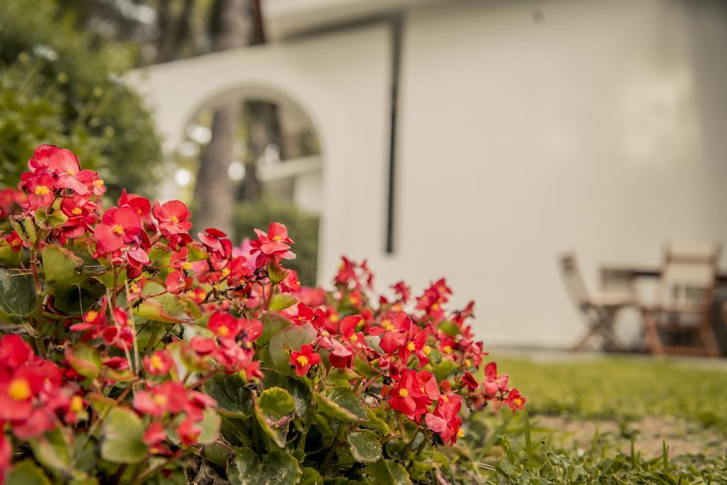 Beautiful Holiday Villa In Sani Sani  Exteriör bild